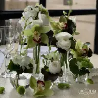 Profilfoto von Melòdia Eventi